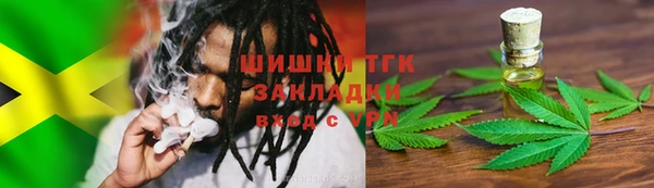 дживик Каменка