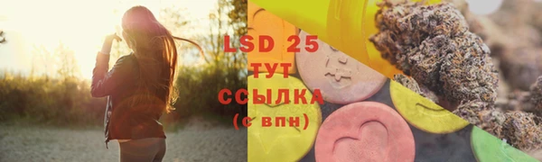 дживик Каменка