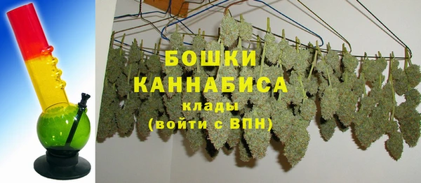 сатива Инта