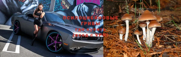 дживик Каменка